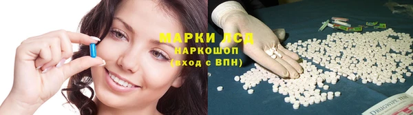 мдпв Володарск