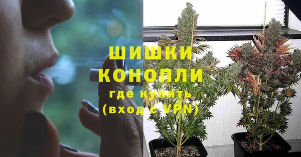 мдпв Володарск