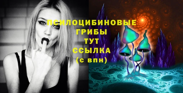 мдпв Володарск