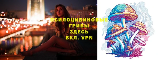 мдпв Володарск